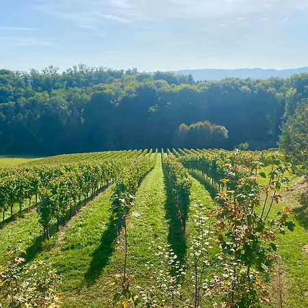 Ferienhaus Am Weinberg 펜션